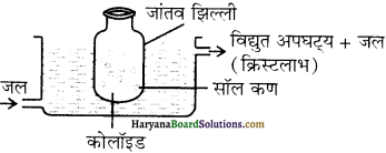 HBSE 12th Class Chemistry Important Questions Chapter 5 Img 20
