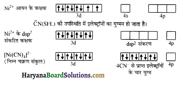 HBSE 12th Class Chemistry Important Questions Chapter 9 उपसहसंयोजन यौगिक 10
