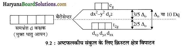 HBSE 12th Class Chemistry Important Questions Chapter 9 उपसहसंयोजन यौगिक 13