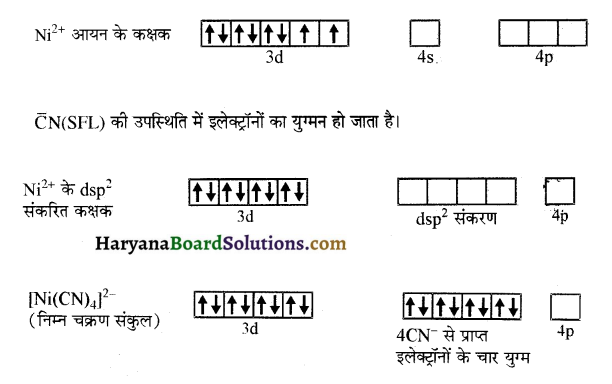 HBSE 12th Class Chemistry Important Questions Chapter 9 उपसहसंयोजन यौगिक 15