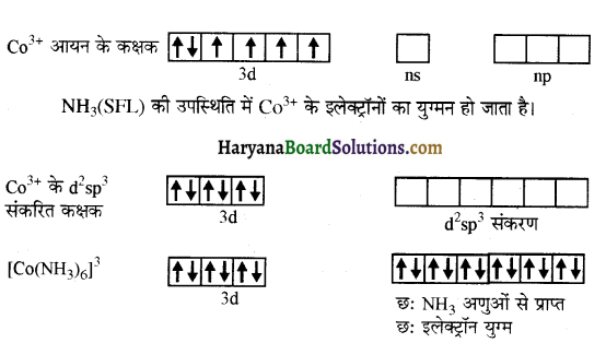 HBSE 12th Class Chemistry Important Questions Chapter 9 उपसहसंयोजन यौगिक 5