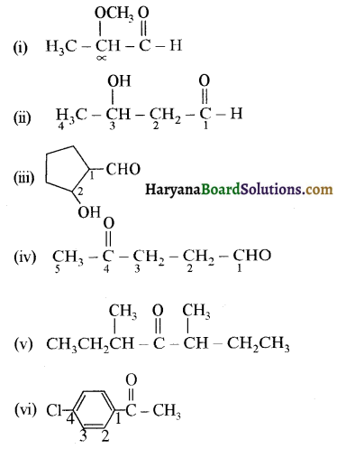 HBSE 12th Class Chemistry Solutions Chapter 13 ऐमीन 28