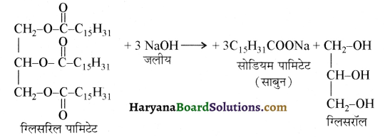 HBSE 12th Class Chemistry Solutions Chapter 16 दैनिक जीवन में रसायन 12