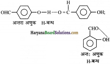 HBSE 11th Class Chemistry Important Questions Chapter 13 Img 36
