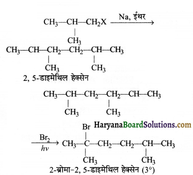 HBSE 11th Class Chemistry Important Questions Chapter 13 Img 47