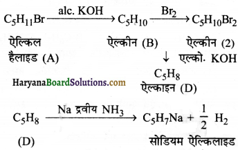 HBSE 11th Class Chemistry Important Questions Chapter 13 Img 72