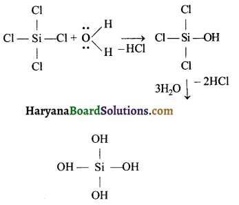 HBSE 11th Class Chemistry Important Questions Chapter 4 रासायनिक आबंधन तथा आण्विक संरचना 33