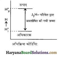 HBSE 11th Class Chemistry Important Questions Chapter 6 ऊष्मागतिकी 5