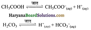 HBSE 11th Class Chemistry Important Questions Chapter 7 साम्यावस्था 18