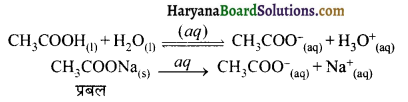 HBSE 11th Class Chemistry Important Questions Chapter 7 साम्यावस्था 21