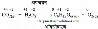 HBSE 11th Class Chemistry Solutions Chapter 8 Img 15
