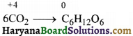 HBSE 11th Class Chemistry Solutions Chapter 8 Img 19