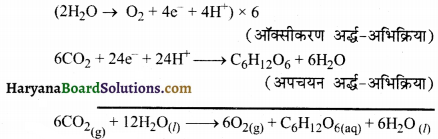 HBSE 11th Class Chemistry Solutions Chapter 8 Img 20