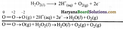 HBSE 11th Class Chemistry Solutions Chapter 8 Img 22