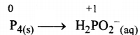 HBSE 11th Class Chemistry Solutions Chapter 8 Img 41