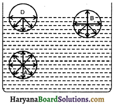 HBSE 11th Class Physics Important Questions Chapter 10 तरलों के यांत्रिकी गुण -10