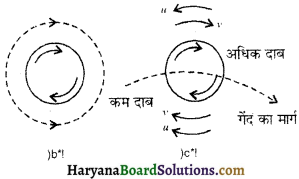 HBSE 11th Class Physics Important Questions Chapter 10 तरलों के यांत्रिकी गुण -2