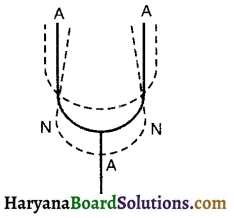 HBSE 11th Class Physics Important Questions Chapter 15 तरंगें -3