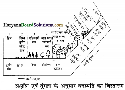 HBSE 12th Class Biology Important Questions Chapter 13 जीव और समष्टियाँ 11