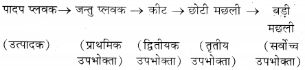 HBSE 12th Class Biology Important Questions Chapter 14 पारितंत्र 1