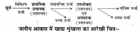 HBSE 12th Class Biology Important Questions Chapter 14 पारितंत्र 14