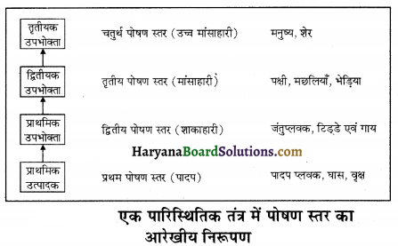 HBSE 12th Class Biology Important Questions Chapter 14 पारितंत्र 6