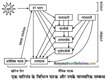 HBSE 12th Class Biology Important Questions Chapter 14 पारितंत्र 8