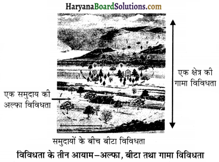 HBSE 12th Class Biology Important Questions Chapter 15 जैव-विविधता एवं संरक्षण 2