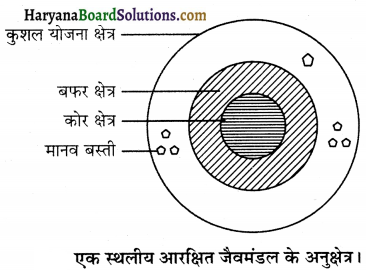 HBSE 12th Class Biology Important Questions Chapter 15 जैव-विविधता एवं संरक्षण 4
