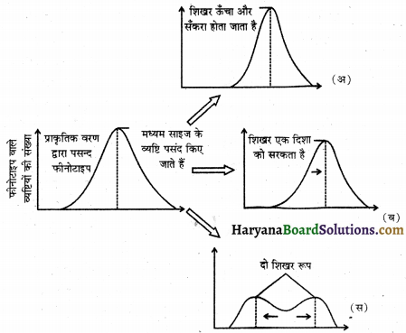 HBSE 12th Class Biology Important Questions Chapter 7 विकास 16
