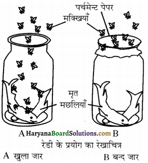 HBSE 12th Class Biology Important Questions Chapter 7 विकास 33